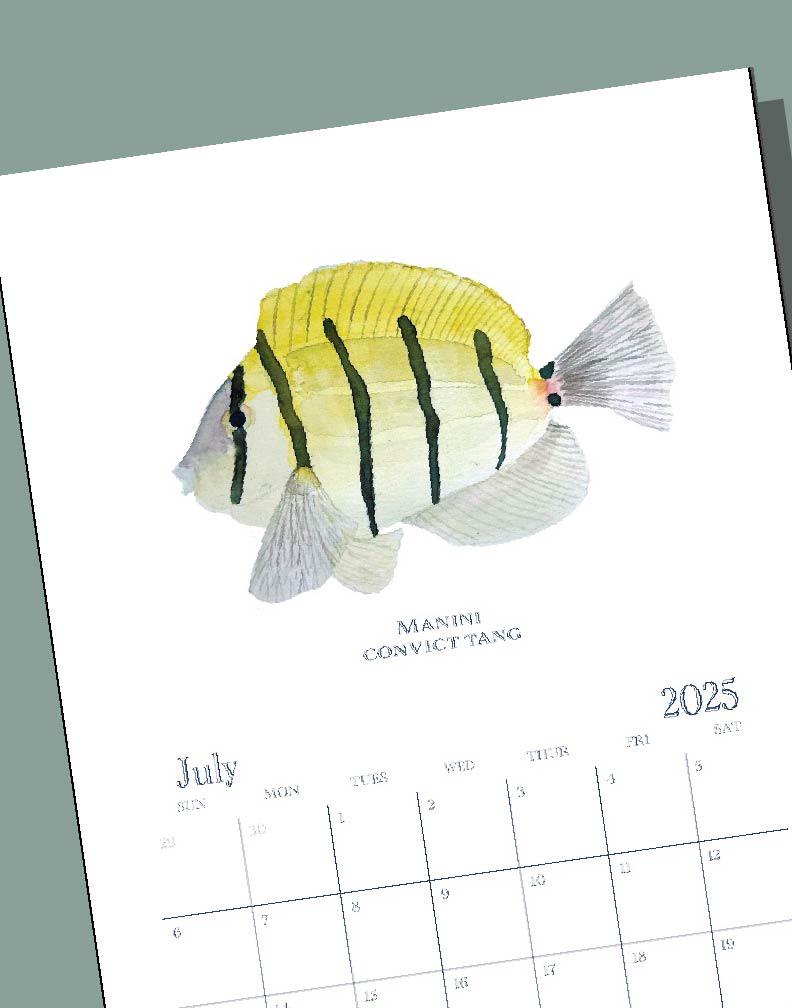 2025 Hawaiian Fish Calendar|12 Vibrant Watercolors||Nature inspired|Coastal Decor|Unique Gift|Hand Painted|Illustrated Art|Marine Life|Ocean