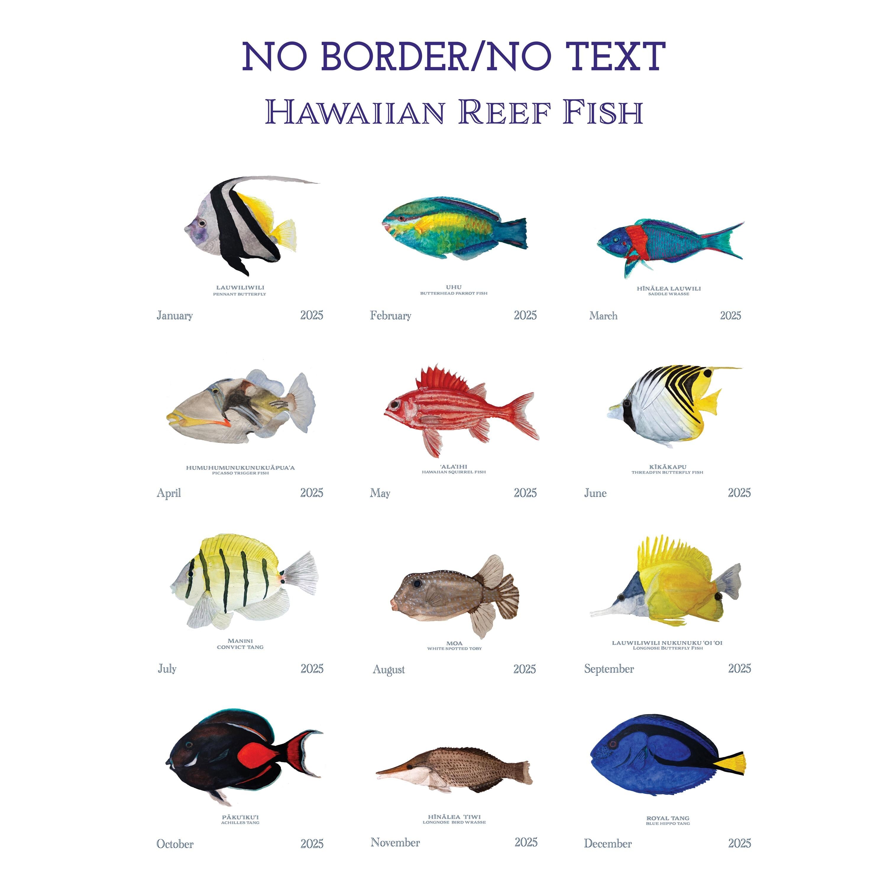 2025 Hawaiian Fish Calendar|12 Vibrant Watercolors||Nature inspired|Coastal Decor|Unique Gift|Hand Painted|Illustrated Art|Marine Life|Ocean