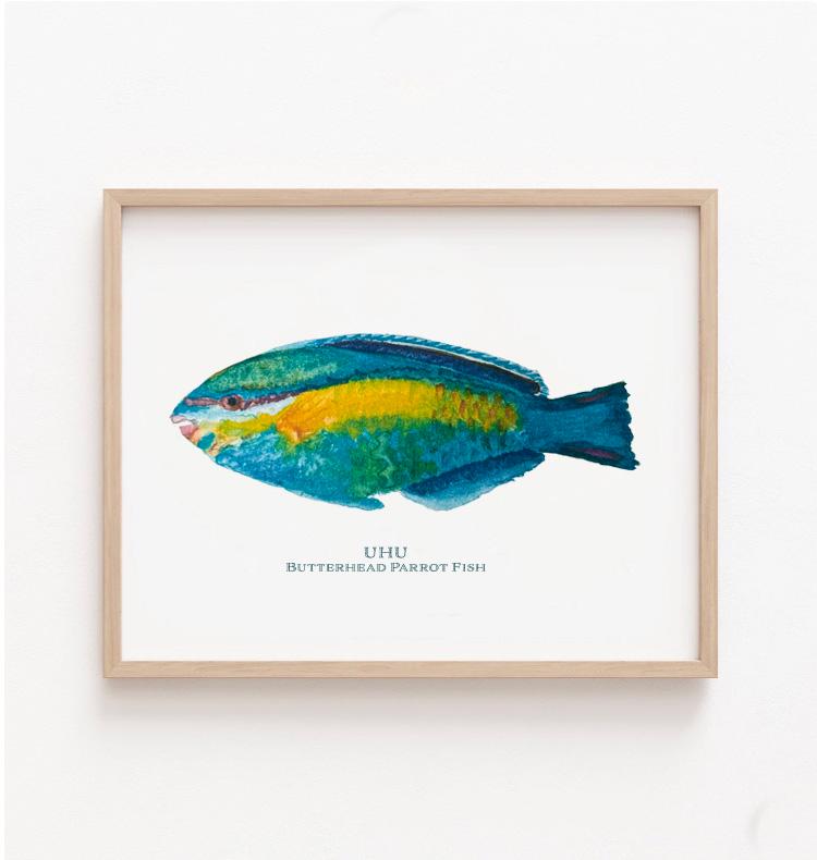 Uhu Butterhead Fish Poster - Watercolored Hawaiian Art - Museum Quality Print