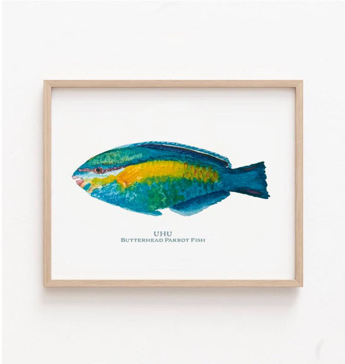 Uhu Butterhead Fish Poster - Watercolored Hawaiian Art - Museum Quality Print