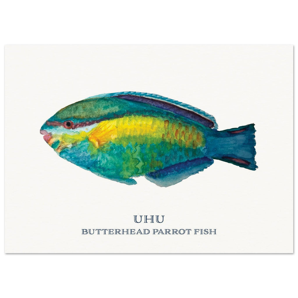 Uhu Butterhead Fish Poster - Watercolored Hawaiian Art - Museum Quality Print
